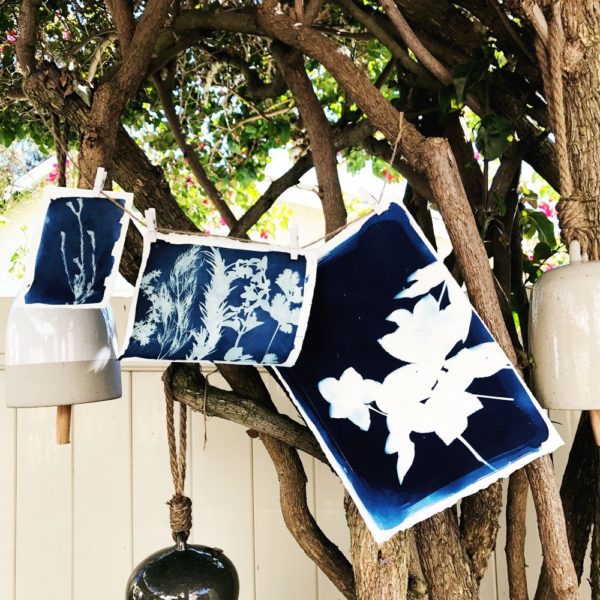 Cyanotype | Emily Jeffords | The Crafter's Box