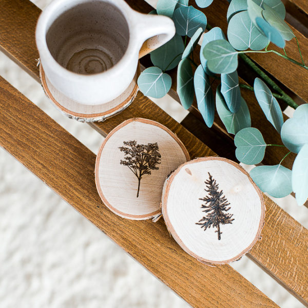 A Set of Birch Coasters | The Crafter's Box